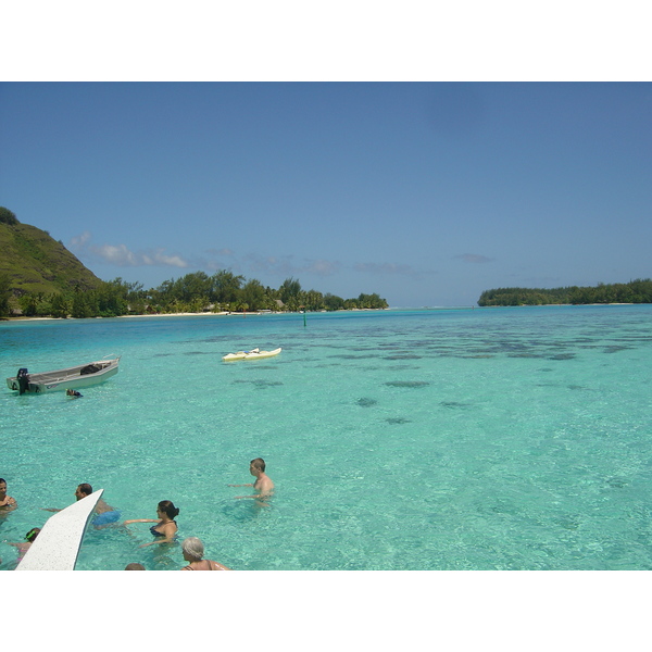 Picture Polynesia Moorea 2006-04 95 - Discovery Moorea