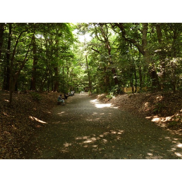 Picture Japan Tokyo Yoyogi Park 2010-06 16 - Center Yoyogi Park