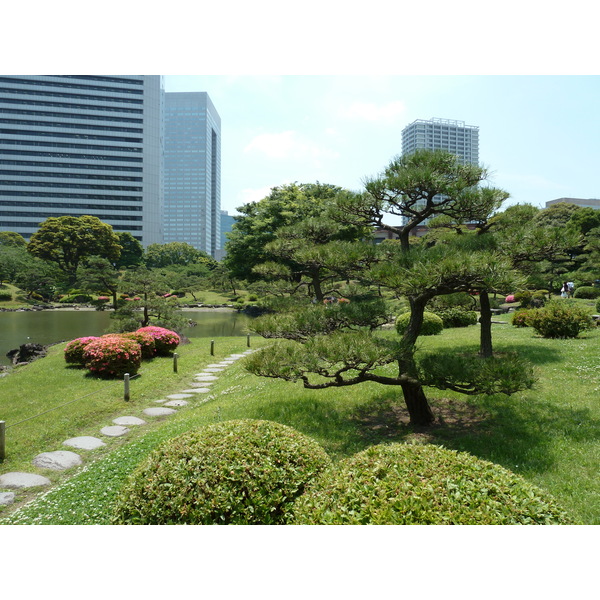 Picture Japan Tokyo Kyu Shiba rikyu Gardens 2010-06 11 - Center Kyu Shiba rikyu Gardens