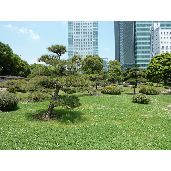 Picture Japan Tokyo Kyu Shiba rikyu Gardens 2010-06 18 - Tour Kyu Shiba rikyu Gardens