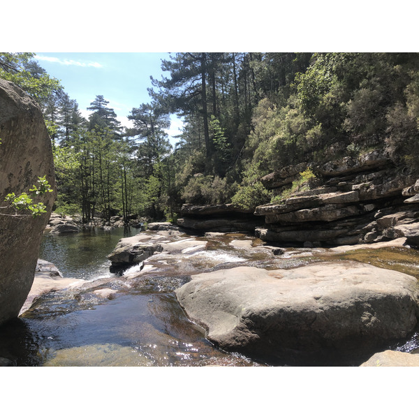 Picture France Corsica Aitone Forest 2021-06 8 - Around Aitone Forest