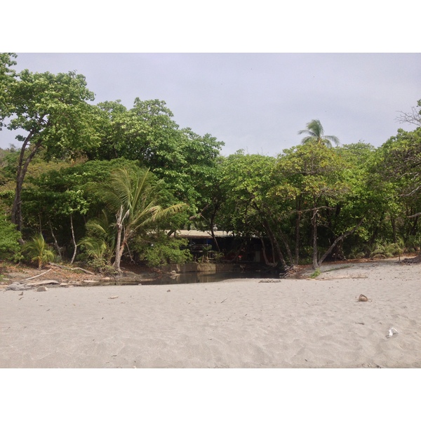 Picture Costa Rica Montezuma 2015-03 545 - Tours Montezuma