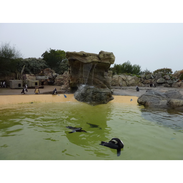 Picture France Le Croisic Ocearium 2009-10 5 - Discovery Ocearium