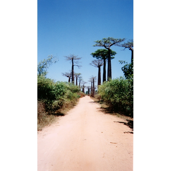 Picture Madagascar Morondava 1999-10 18 - Journey Morondava