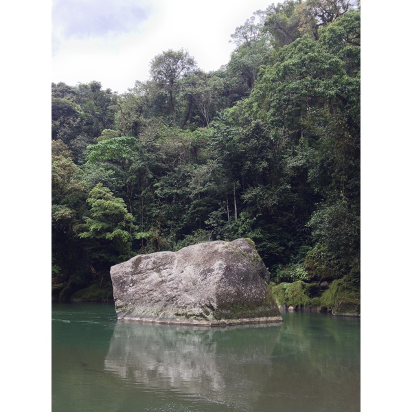 Picture Costa Rica Pacuare River 2015-03 268 - Tours Pacuare River