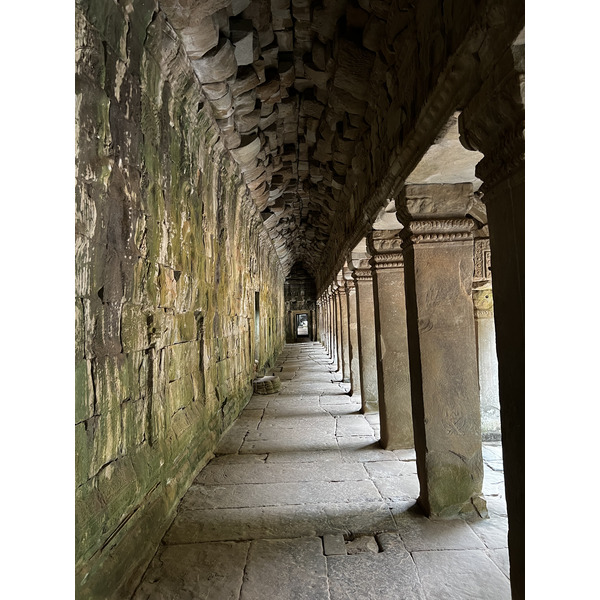 Picture Cambodia Siem Reap Ta Prohm 2023-01 120 - Recreation Ta Prohm