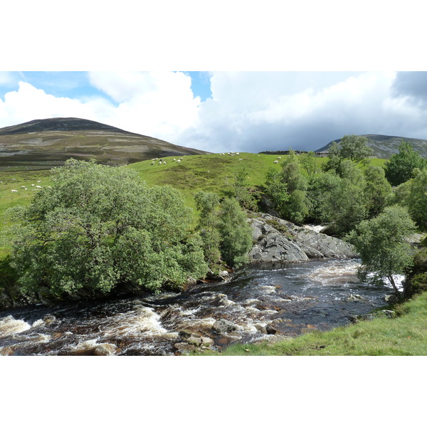 Picture United Kingdom Cairngorms National Park 2011-07 103 - Tours Cairngorms National Park