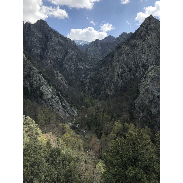 Picture France Abbaye Saint Martin du Canigou 2018-04 83 - Tours Abbaye Saint Martin du Canigou