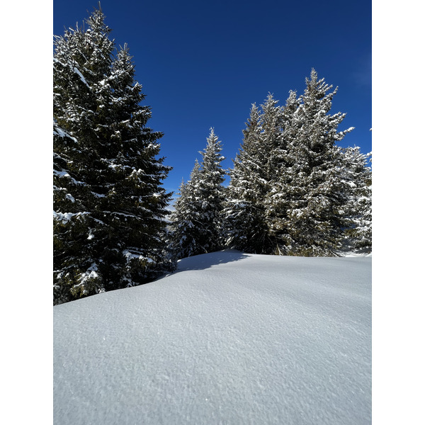 Picture France Megeve 2022-02 26 - Journey Megeve