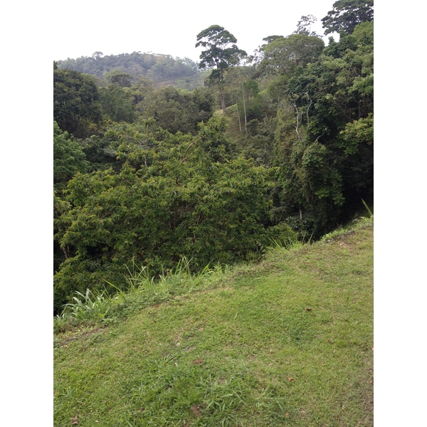 Picture Costa Rica Turrialba 2015-03 10 - History Turrialba