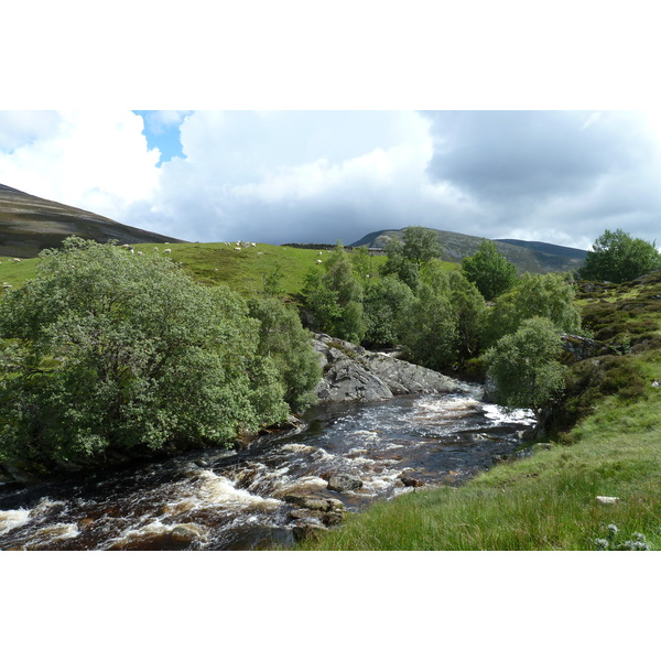 Picture United Kingdom Cairngorms National Park 2011-07 54 - Tour Cairngorms National Park