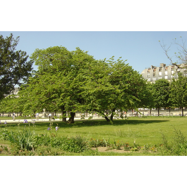 Picture France Paris Garden of Tuileries 2007-05 158 - Around Garden of Tuileries