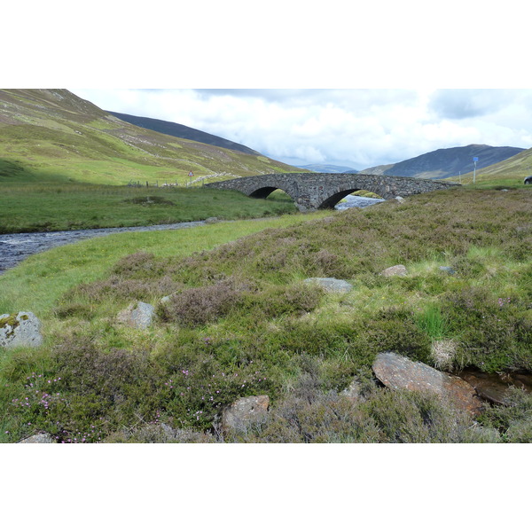 Picture United Kingdom Cairngorms National Park 2011-07 92 - Discovery Cairngorms National Park