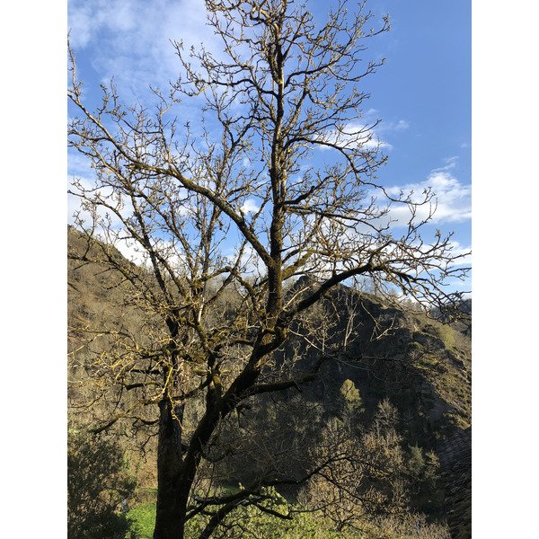 Picture France Conques 2018-04 98 - Journey Conques