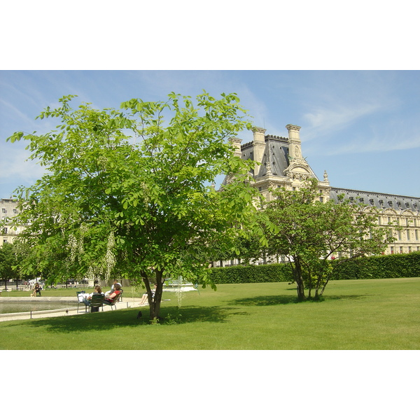 Picture France Paris Garden of Tuileries 2007-05 278 - History Garden of Tuileries