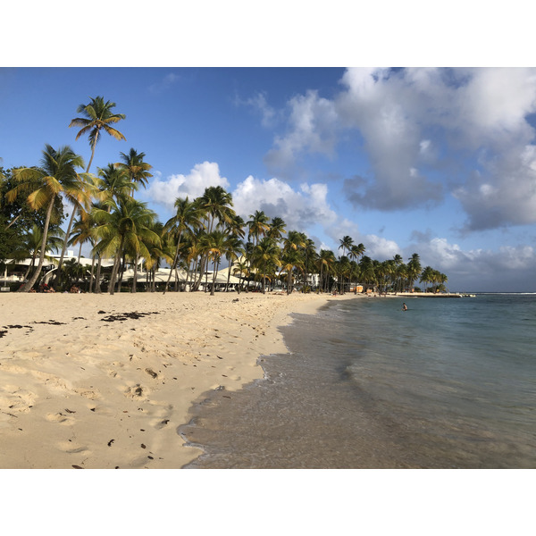 Picture Guadeloupe La Caravelle Beach 2021-02 130 - Tours La Caravelle Beach