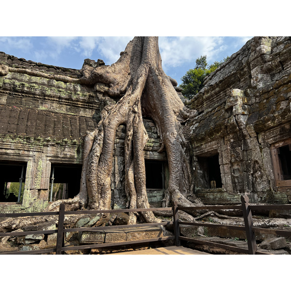 Picture Cambodia Siem Reap Ta Prohm 2023-01 89 - History Ta Prohm