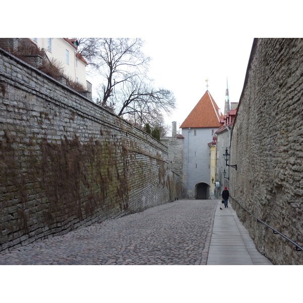 Picture Estonia Tallinn Old Tallinn 2009-04 73 - Discovery Old Tallinn