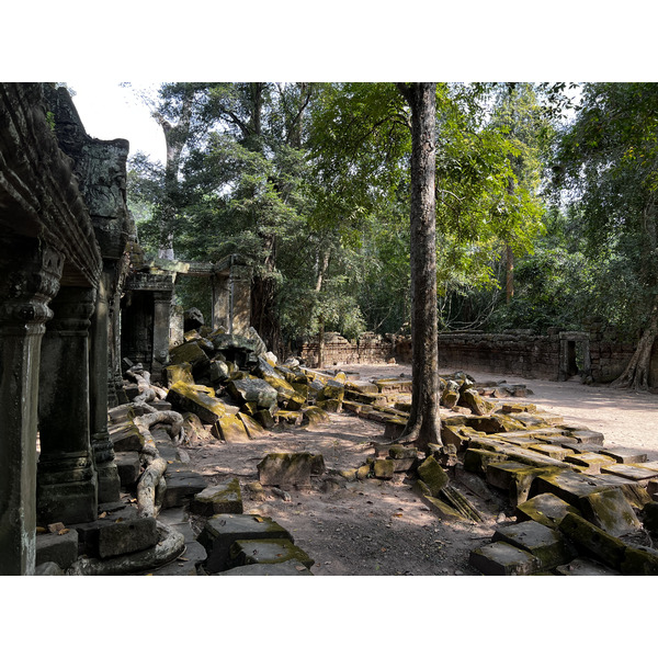 Picture Cambodia Siem Reap Ta Prohm 2023-01 149 - Tour Ta Prohm