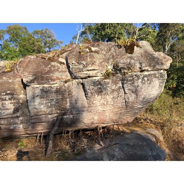 Picture Thailand Phu Hin Rong Kla National Park 2014-12 261 - Discovery Phu Hin Rong Kla National Park