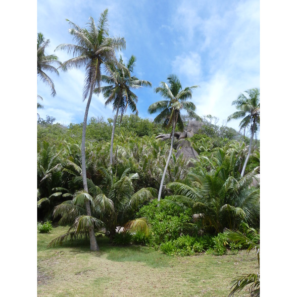 Picture Seychelles Grande Soeur 2011-10 5 - Tours Grande Soeur