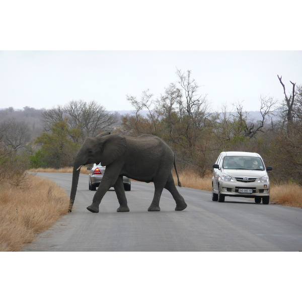 Picture South Africa Kruger National Park 2008-09 133 - Recreation Kruger National Park