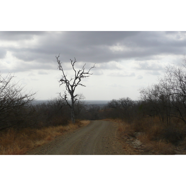 Picture South Africa Kruger National Park 2008-09 161 - Tour Kruger National Park