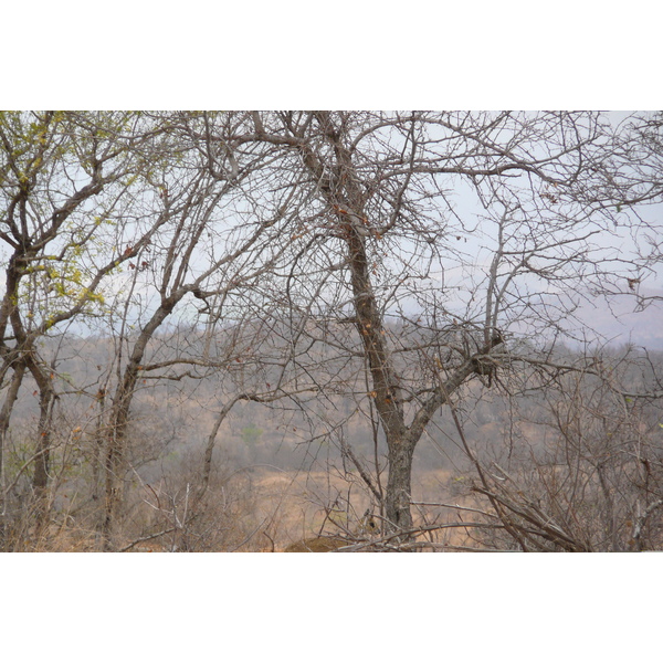 Picture South Africa Kruger National Park 2008-09 35 - Tour Kruger National Park