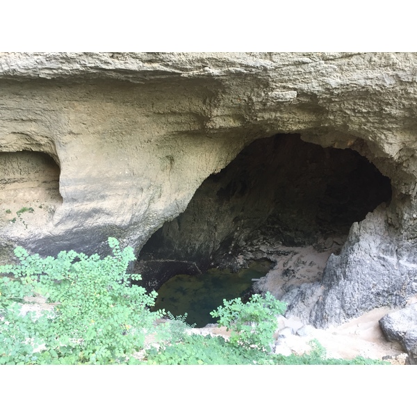 Picture France Fontaine-de-Vaucluse 2017-08 37 - Tours Fontaine-de-Vaucluse