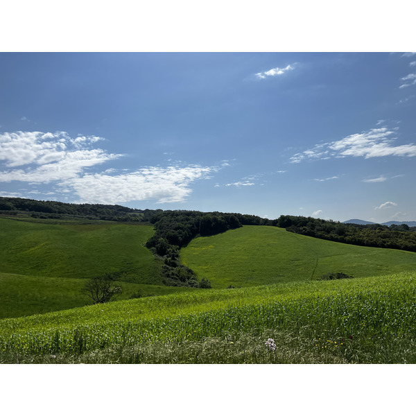 Picture Italy Volterra 2022-05 35 - Around Volterra