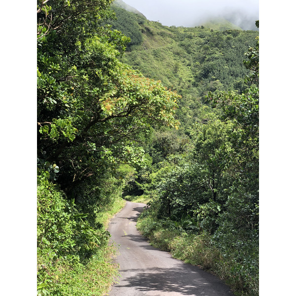 Picture Guadeloupe La Grande Soufriere 2021-02 59 - Tours La Grande Soufriere