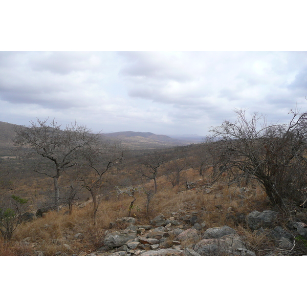 Picture South Africa Kruger National Park 2008-09 169 - Discovery Kruger National Park