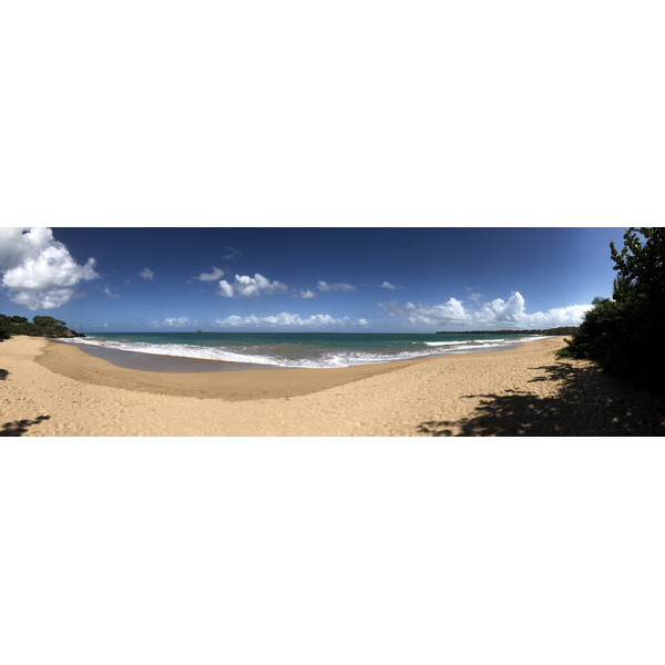 Picture Guadeloupe La Perle Beach 2021-02 132 - Tour La Perle Beach