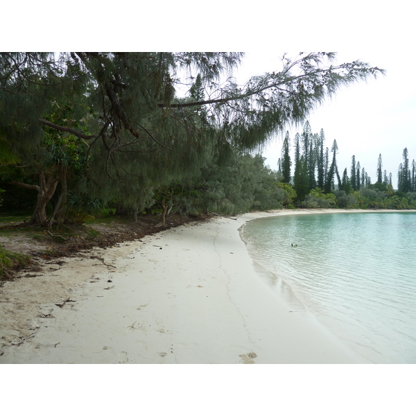 Picture New Caledonia Ile des pins Kuto Beach 2010-05 42 - Around Kuto Beach