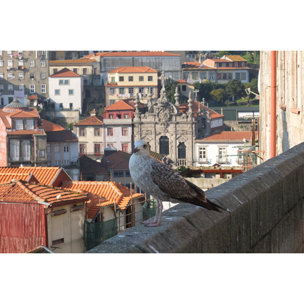 Picture Portugal Porto 2013-01 113 - Discovery Porto