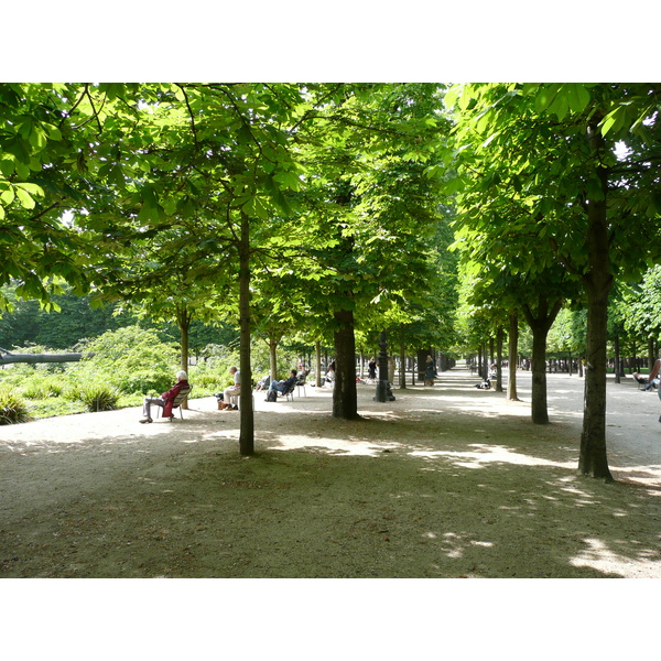 Picture France Paris Garden of Tuileries 2007-05 213 - Tour Garden of Tuileries