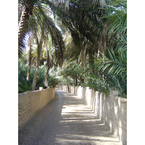 Picture United Arab Emirates Al Ain Al Ain Oasis 2005-03 20 - Recreation Al Ain Oasis