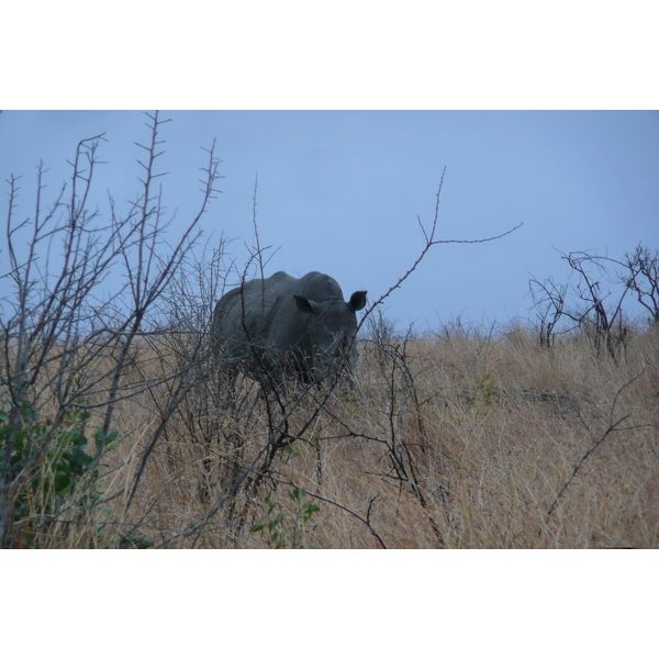 Picture South Africa Kruger National Park 2008-09 151 - Center Kruger National Park