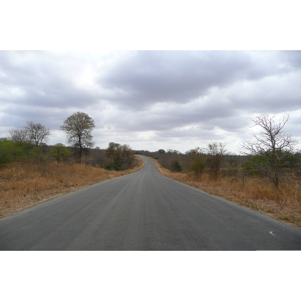 Picture South Africa Kruger National Park 2008-09 59 - Around Kruger National Park