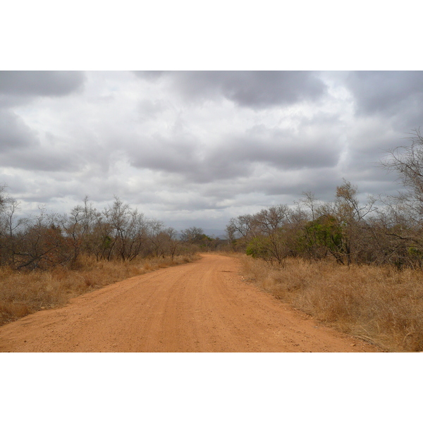 Picture South Africa Kruger National Park 2008-09 79 - Journey Kruger National Park