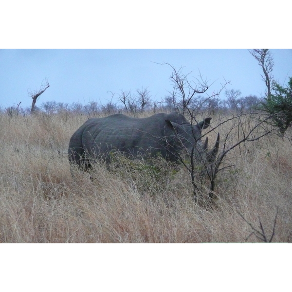 Picture South Africa Kruger National Park 2008-09 114 - History Kruger National Park