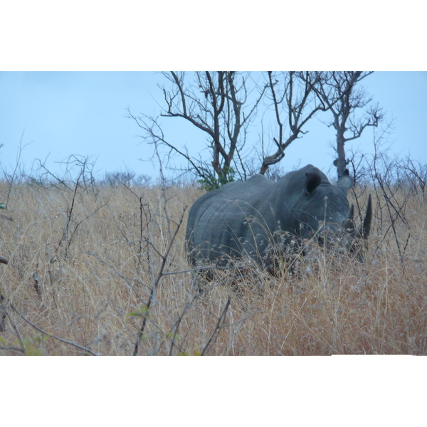 Picture South Africa Kruger National Park 2008-09 71 - Recreation Kruger National Park