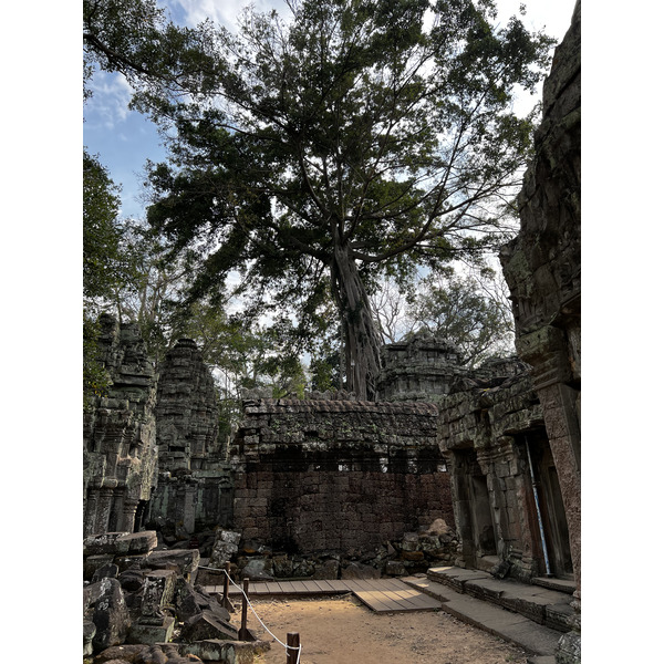 Picture Cambodia Siem Reap Ta Prohm 2023-01 23 - Around Ta Prohm