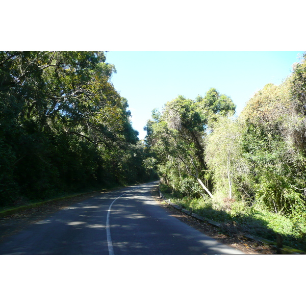 Picture South Africa Nature's Valley 2008-09 31 - Journey Nature's Valley