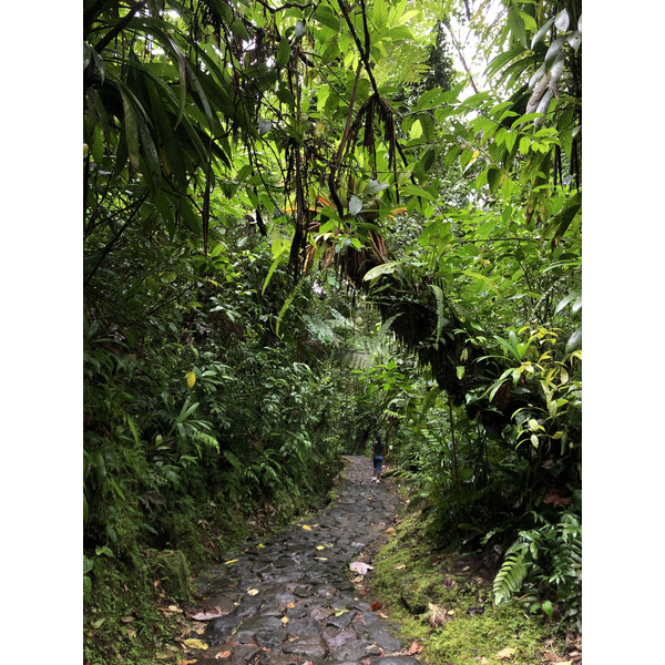 Picture Guadeloupe Carbet Falls 2021-02 36 - Tour Carbet Falls