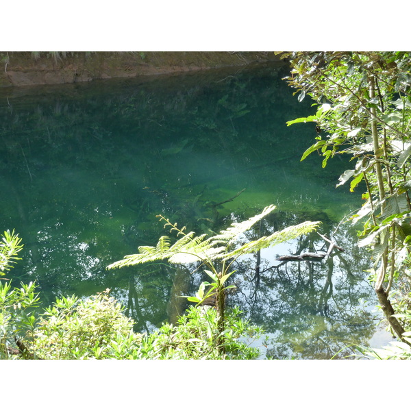 Picture New Caledonia Parc de la Riviere Bleue Le Grand Kaori 2010-05 6 - Journey Le Grand Kaori