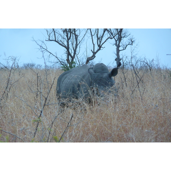 Picture South Africa Kruger National Park 2008-09 174 - History Kruger National Park