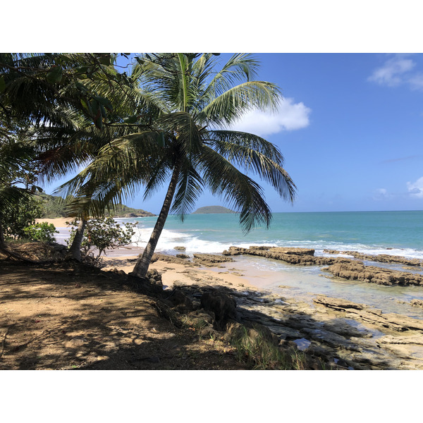 Picture Guadeloupe Clugny Beach 2021-02 12 - Around Clugny Beach