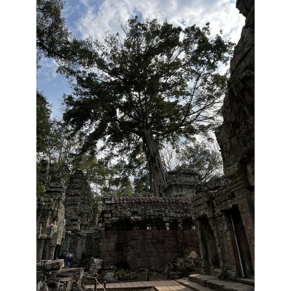 Picture Cambodia Siem Reap Ta Prohm 2023-01 15 - History Ta Prohm