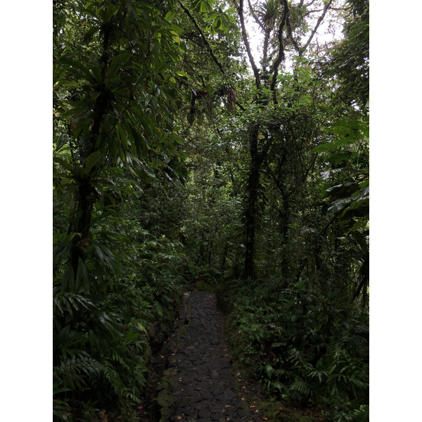 Picture Guadeloupe Carbet Falls 2021-02 45 - Around Carbet Falls